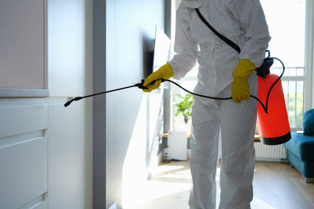 Mold Removal Process in Prior Lake, MN