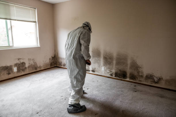 Crawl Space Mold Removal in Prior Lake, MN